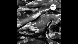 The KVB - Night Games