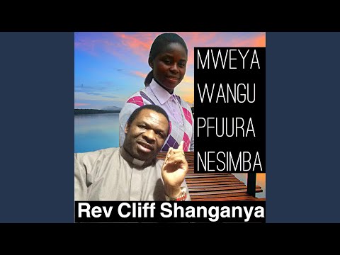 Mweya Wangu Pfuura Nesimba