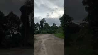 Download lagu Nyore dulu kita ke sidoharjo mp3 Download lagu Nyore dulu kita ke sidoharjo mp3