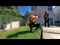 ATCQ Can I Kick It FreestyleFridays