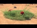 Dream Dance Alliance When I Listen Official Video