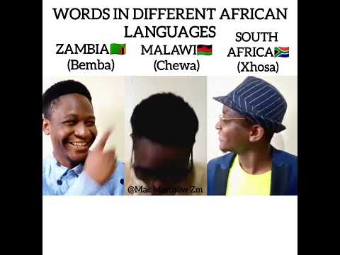 Words in different African languages  Bemba, Chewa, Xhosa