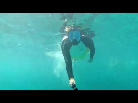 Dominican Republic - Punta cana - La Romana 4K