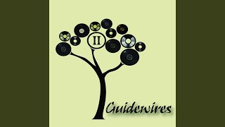 Law Abiding Musician