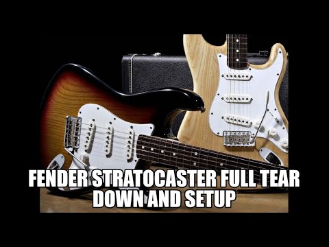 Fender Stratocaster full setup