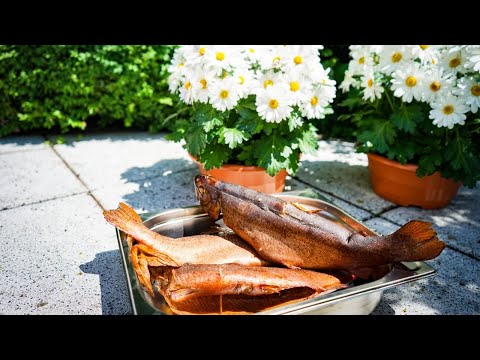 Forellen räuchern in nur 30 Minuten !!!