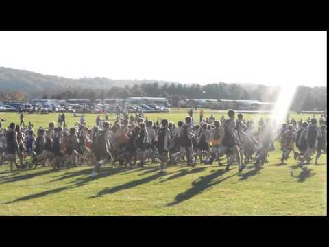 And They're Off 11 4 2015