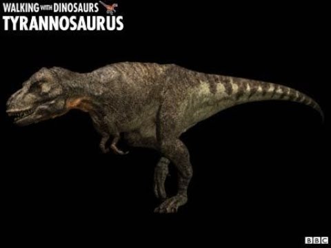 TRILOGY OF LIFE - Prehistoric  Park & Walking with Dinosaurs - "Trex" (Tyrannosaurus rex)
