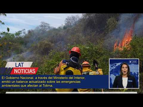 Controlan 84% de incendios forestales en el Tolima: Reporte Oficial