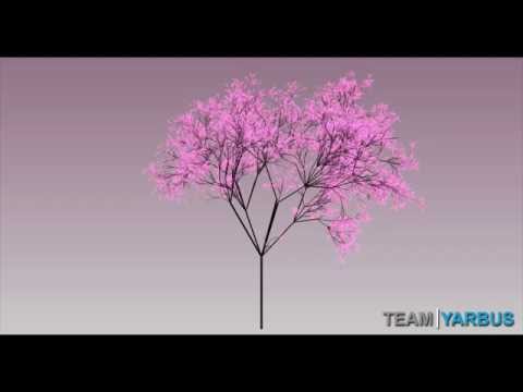 Cinder Engine│Procedural Tree Generation
