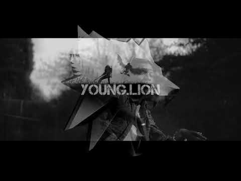 Cheu-b type beat - young lion