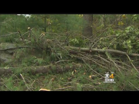 Tornadoes Touch Down In Norton, Lincoln