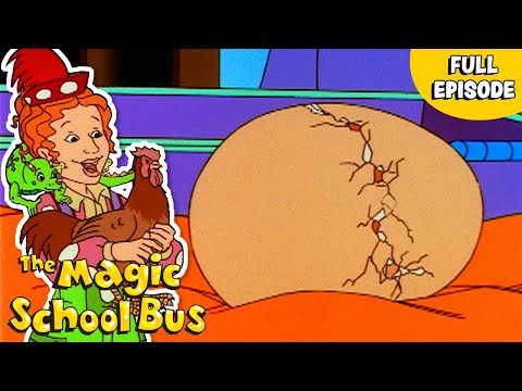Why Did the Chicken Lay an Egg? | Cracks a Yolk | Full Episode | The Magic School Bus