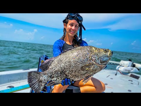 *SPEARFISHING* Tripletail Spear+COOK!!