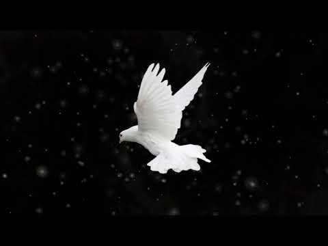 [FREE FOR PROFIT] Doxx x Klem Schen Type Beat 2021 "colombe"