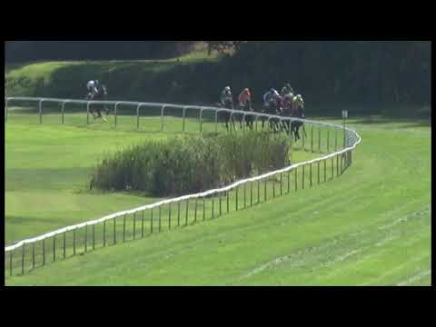 KV, 18. 8. 2019, 4. dostih - 40. Cena MASISE - POHÁR STATKU BLATA ČESKÝ RÁJ