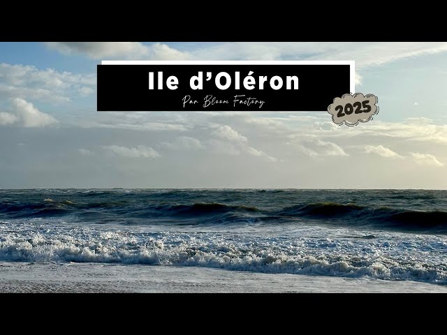 Drone - Ile d'Oléron