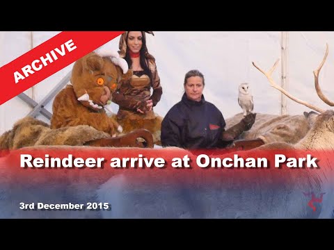 IoM TV archive: Reindeer arrive at Onchan Park: 3.12.2015