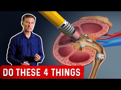The Top SUPERFOODS for the Kidneys—Explained by Dr Berg