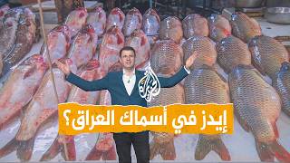 إيدز في أسماك العراق؟ تصريح يثير قلق العراقيين - شبكات 