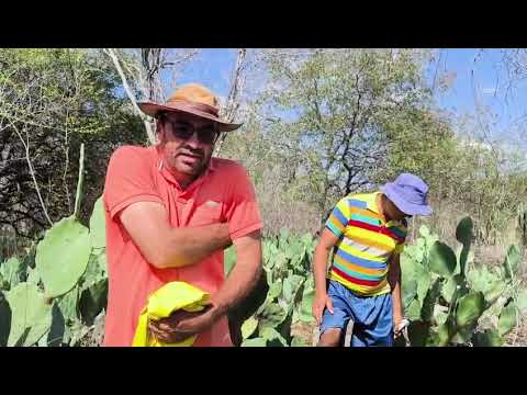Antonio Rufino e João Neto de Carnaubeira da Penha,Pernambuco. 