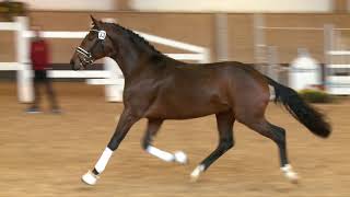 Video of Feliciano 62