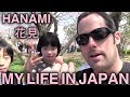 My Life in Japan - 1 - Cherry Blossoms - 