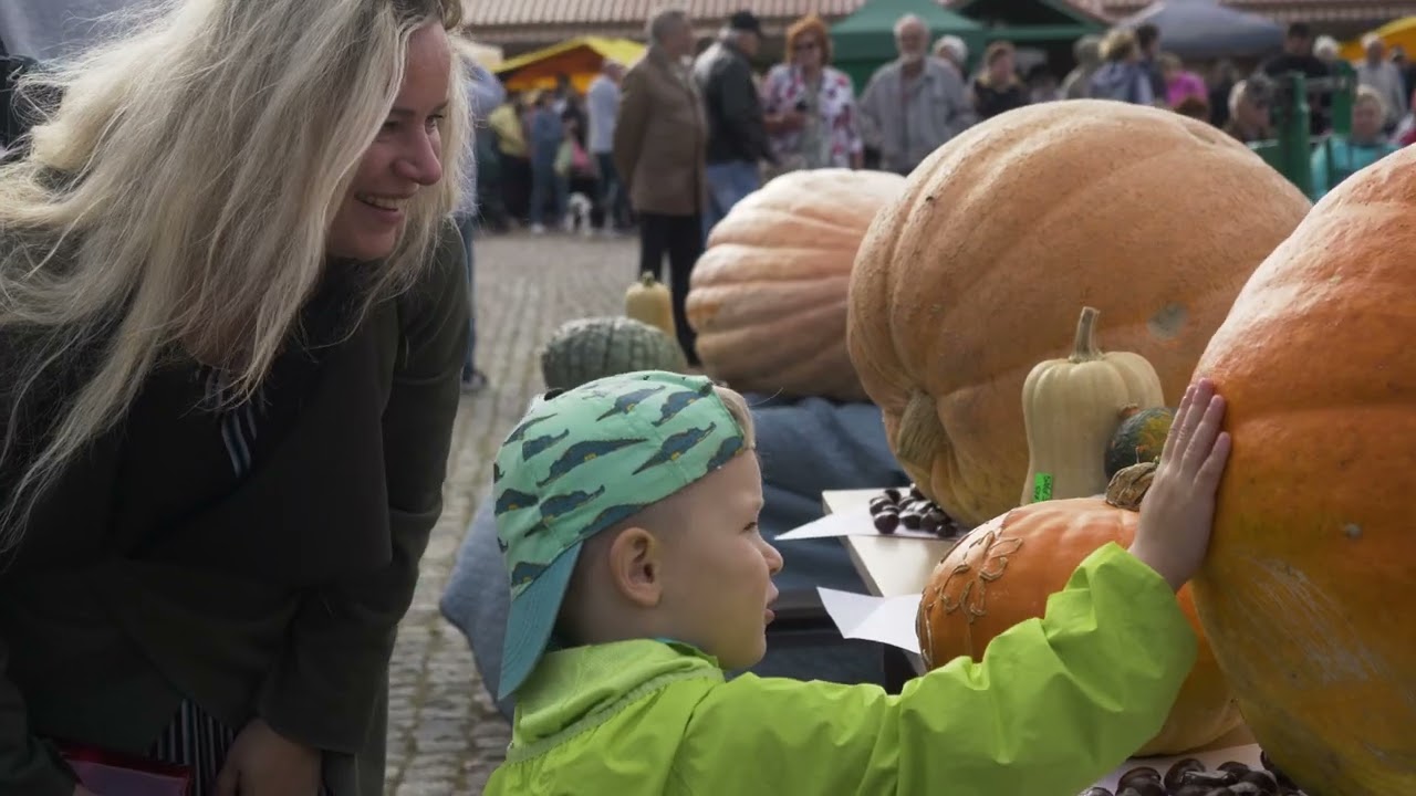 Vīna un zivju festivāls Ventspils vecpilsētas tirgus laukumā
