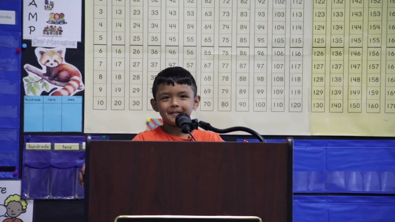 The Kindergarten Experience