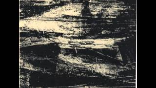 Thuja - untitled 5