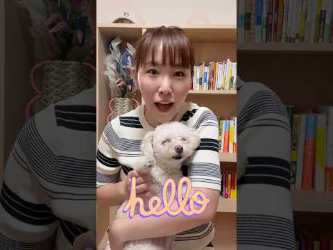 国際関係学科 犬が大好きな人にオススメしたい犬が登場する小説3選！#千葉県議会議員 #水野ゆうき #小説 #ブックレビュー #犬