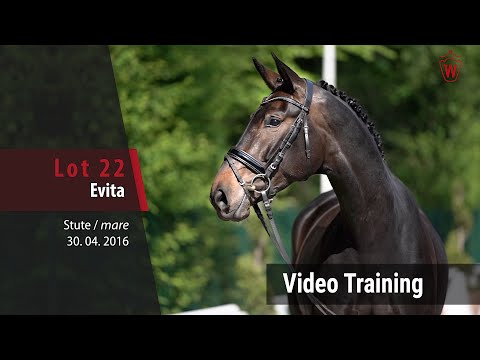 22 Evita v. Ehrenstolz - Fidermark_Trainingsvideo