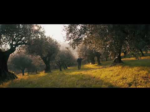 Vetrocar CSS Verona - R.N. Florentia