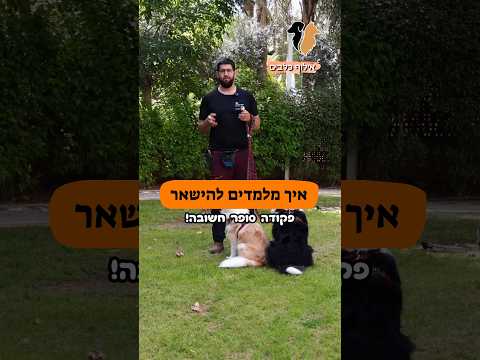 תמונה של אומץ לב