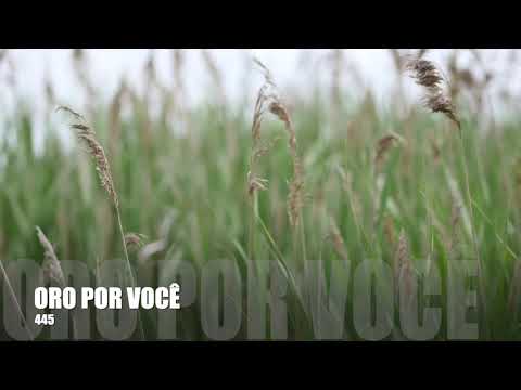 Oração 445