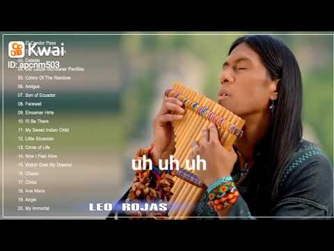 @sôniadefatimaconsultora