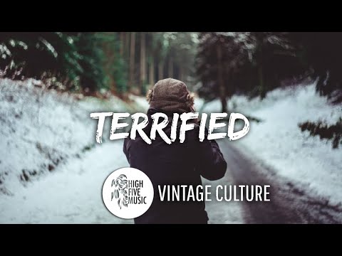 Vintage Culture, KVSH, Bruno Be - Terrified ft. the beach [Tradução/Legendado]