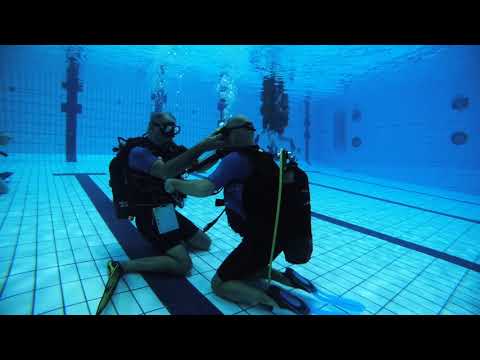 Niveau 1 de plongée en piscine : premières bulles