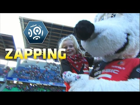 Zapping de la 11ème journée - Ligue 1 / 2014-15