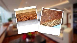 How to Get Rid of Borer and Protect Wood from Borer Damage