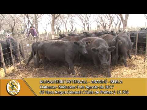 09-08-07 Venta Vacas Angus Generales - Monasterio Tattersall - Daireaux