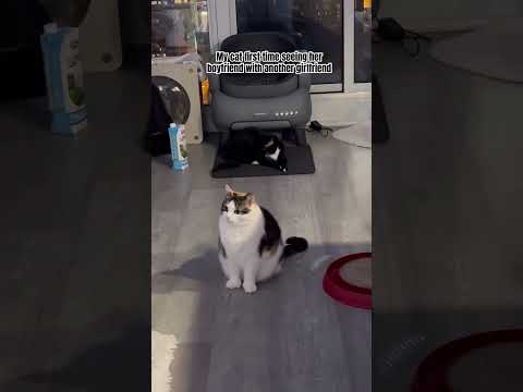 She does not want to flirt anymore 🫣