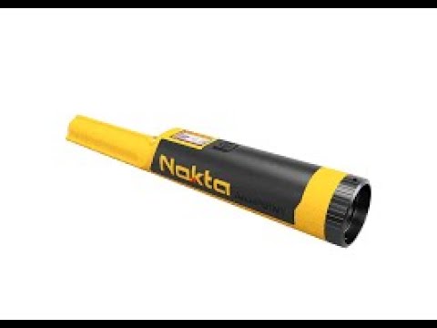 Review Nokta Accupoint and Digging Canuck