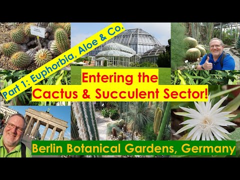 , title : 'BOTANICAL GARDEN BERLIN Cactus Succulent Collection PART 1 #succulents #greenhouses #visitberlin'