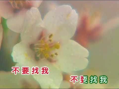 姚蘇蓉 ~ 不要拋棄我