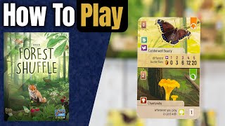 kovray - Forest Shuffle video thumbnail