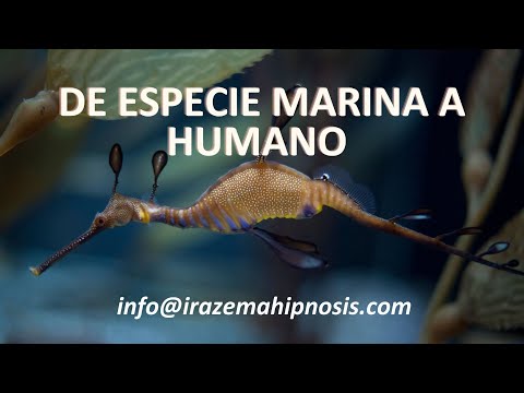 1014 ES Silvia  de #especies  marina a #humano  Hipnosis Regresiva Irazema Nuño