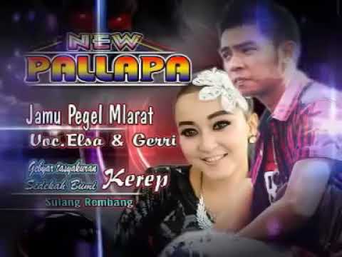 NEW PALAPA- JAMU PEGEL MLARAT "GERY FEAT RENA KDI"
