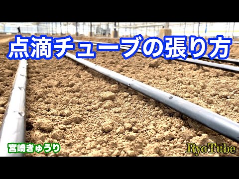 効果的な自家製点滴灌漑を導入するにはどうすればよいですか?自分で組み立てる 5 つ以上の DIY!  庭園