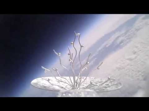 VITAE Project - VITAE II / Launch to the Edge of Space